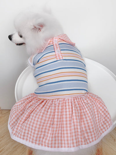 Animal-Go-Round เสื้อผ้าเครื่องแต่งกาย สัตว์เลี้ยง, หมา, แมว, สุนัข รุ่น Hype Girl