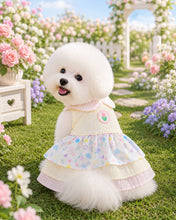 AGR797-Animal-Go-Round เสื้อผ้าเครื่องแต่งกาย สัตว์เลี้ยง, หมา, แมว, สุนัข รุ่น Floral Dreamland