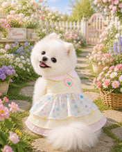 AGR797-Animal-Go-Round เสื้อผ้าเครื่องแต่งกาย สัตว์เลี้ยง, หมา, แมว, สุนัข รุ่น Floral Dreamland