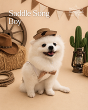 Animal-Go-Round เสื้อผ้าเครื่องแต่งกาย สัตว์เลี้ยง, หมา, แมว, สุนัข รุ่น Saddle Song - Boy