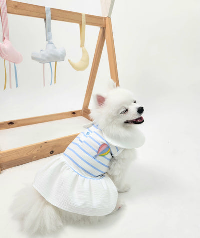 Animal-Go-Round เสื้อผ้าเครื่องแต่งกาย สัตว์เลี้ยง, หมา, แมว, สุนัข รุ่น Bubble Balloon