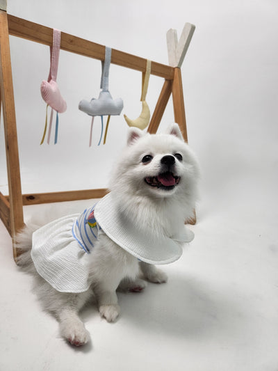 Animal-Go-Round เสื้อผ้าเครื่องแต่งกาย สัตว์เลี้ยง, หมา, แมว, สุนัข รุ่น Bubble Balloon