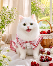 Animal-Go-Round เสื้อผ้าเครื่องแต่งกาย สัตว์เลี้ยง, หมา, แมว, สุนัข รุ่น Little Cherry Paw - Girl