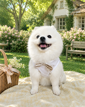 Animal-Go-Round เสื้อผ้าเครื่องแต่งกาย สัตว์เลี้ยง, หมา, แมว, สุนัข รุ่น Vintage Rose Vest