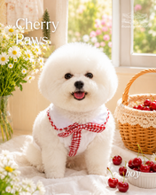 Animal-Go-Round เสื้อผ้าเครื่องแต่งกาย สัตว์เลี้ยง, หมา, แมว, สุนัข รุ่น Little Cherry Paw