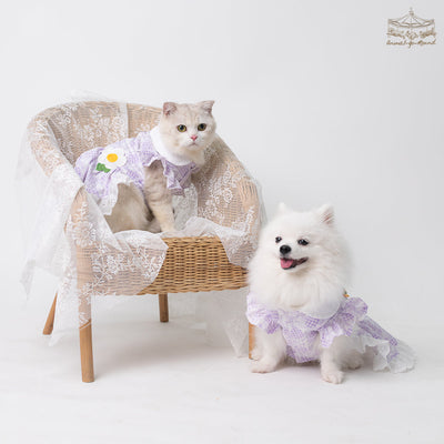 Animal-Go-Round เสื้อผ้าเครื่องแต่งกาย สัตว์เลี้ยง, หมา, แมว, สุนัข รุ่น Endless Love Lilac Dress
