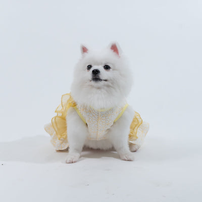 Animal-Go-Round เสื้อผ้าเครื่องแต่งกาย สัตว์เลี้ยง, หมา, แมว, สุนัข รุ่น Swan Fleurs Yellow