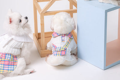 Animal-Go-Round เสื้อผ้าเครื่องแต่งกาย สัตว์เลี้ยง, หมา, แมว, สุนัข รุ่น Scottyboy Pocket