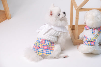 Animal-Go-Round เสื้อผ้าเครื่องแต่งกาย สัตว์เลี้ยง, หมา, แมว, สุนัข รุ่น Scottygal Dress