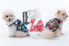 Animal-Go-Round เสื้อผ้าเครื่องแต่งกาย สัตว์เลี้ยง, หมา, แมว, สุนัข รุ่น Master Shifu