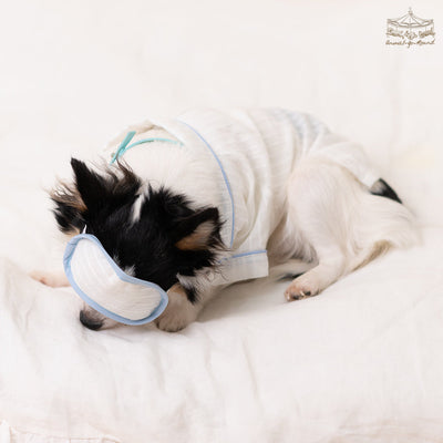 Animal-Go-Round เสื้อผ้าเครื่องแต่งกาย สัตว์เลี้ยง, หมา, แมว, สุนัข รุ่น Daydreaming Pajamas