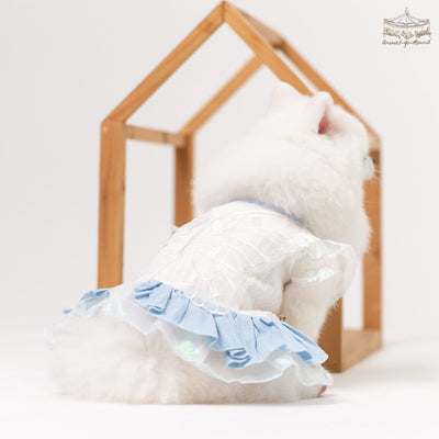 Animal-Go-Round เสื้อผ้าเครื่องแต่งกาย สัตว์เลี้ยง, หมา, แมว, สุนัข รุ่น Bleu Butterfly Lace