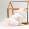 Animal-Go-Round เสื้อผ้าเครื่องแต่งกาย สัตว์เลี้ยง, หมา, แมว, สุนัข รุ่น Snowy Butterfly Lace