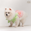 Animal-Go-Round เสื้อผ้าเครื่องแต่งกาย สัตว์เลี้ยง, หมา, แมว, สุนัข รุ่น Juicy Peachy
