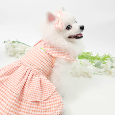 Animal-Go-Round เสื้อผ้าเครื่องแต่งกาย สัตว์เลี้ยง, หมา, แมว, สุนัข รุ่น Taffy Floret Dress