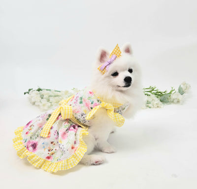 Animal-Go-Round เสื้อผ้าเครื่องแต่งกาย สัตว์เลี้ยง, หมา, แมว, สุนัข รุ่น Yellowy Pollen