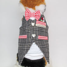 Animal-Go-Round เสื้อผ้าเครื่องแต่งกาย สัตว์เลี้ยง, หมา, แมว, สุนัข รุ่น Rosewood Royals - Gentle