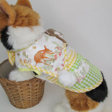 Animal-Go-Round เสื้อผ้าเครื่องแต่งกาย สัตว์เลี้ยง, หมา, แมว, สุนัข รุ่น Little Forest Tales - Boy