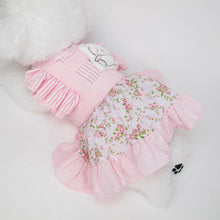 Animal-Go-Round เสื้อผ้าเครื่องแต่งกาย สัตว์เลี้ยง, หมา, แมว, สุนัข รุ่น Teddy Blossom