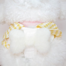 Animal-Go-Round เสื้อผ้าเครื่องแต่งกาย สัตว์เลี้ยง, หมา, แมว, สุนัข รุ่น Lemonade Picnic Boy