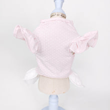 Animal-Go-Round เสื้อผ้าเครื่องแต่งกาย สัตว์เลี้ยง, หมา, แมว, สุนัข รุ่น Chérie Lace