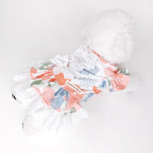 Animal-Go-Round เสื้อผ้าเครื่องแต่งกาย สัตว์เลี้ยง, หมา, แมว, สุนัข รุ่น Garden Waltz