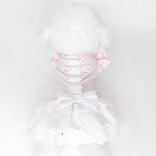 Animal-Go-Round เสื้อผ้าเครื่องแต่งกาย สัตว์เลี้ยง, หมา, แมว, สุนัข รุ่น Chérie Lace Pink Dot