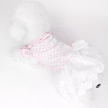 Animal-Go-Round เสื้อผ้าเครื่องแต่งกาย สัตว์เลี้ยง, หมา, แมว, สุนัข รุ่น Chérie Lace Pink Dot