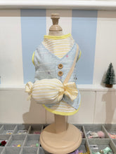 Animal-Go-Round เสื้อผ้าเครื่องแต่งกาย สัตว์เลี้ยง, หมา, แมว, สุนัข รุ่น Candy Pop - boy
