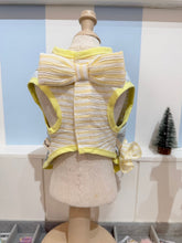 Animal-Go-Round เสื้อผ้าเครื่องแต่งกาย สัตว์เลี้ยง, หมา, แมว, สุนัข รุ่น Candy Pop - boy