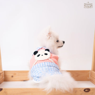 Animal-Go-Round เสื้อผ้าเครื่องแต่งกาย สัตว์เลี้ยง, หมา, แมว, สุนัข รุ่น Kiddo Panda Boy