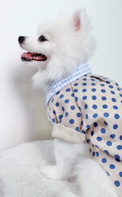 Animal-Go-Round เสื้อผ้าเครื่องแต่งกาย สัตว์เลี้ยง, หมา, แมว, สุนัข รุ่น Dotty Blue