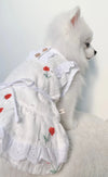 Animal-Go-Round เสื้อผ้าเครื่องแต่งกาย สัตว์เลี้ยง, หมา, แมว, สุนัข รุ่น Jaline Dress Red