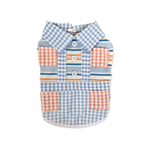 Animal-Go-Round เสื้อผ้าเครื่องแต่งกาย สัตว์เลี้ยง, หมา, แมว, สุนัข รุ่น Hype Boy Scotty