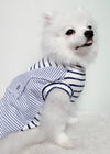 Animal-Go-Round เสื้อผ้าเครื่องแต่งกาย สัตว์เลี้ยง, หมา, แมว, สุนัข รุ่น Smith-Blue SnowFlake