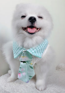 Animal-Go-Round เสื้อผ้าเครื่องแต่งกาย สัตว์เลี้ยง, หมา, แมว, สุนัข รุ่น Tulip Mania Boy