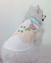 Animal-Go-Round เสื้อผ้าเครื่องแต่งกาย สัตว์เลี้ยง, หมา, แมว, สุนัข รุ่น Tulip Mania Boy