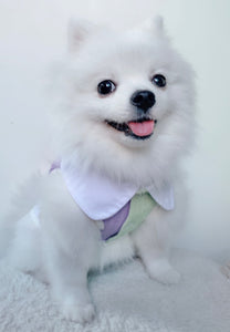 Animal-Go-Round เสื้อผ้าเครื่องแต่งกาย สัตว์เลี้ยง, หมา, แมว, สุนัข รุ่น Buzz Lightyear Team Boy