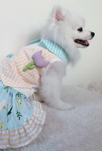 Animal-Go-Round เสื้อผ้าเครื่องแต่งกาย สัตว์เลี้ยง, หมา, แมว, สุนัข รุ่น Tulip Mania Girl