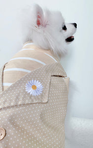 Animal-Go-Round เสื้อผ้าเครื่องแต่งกาย สัตว์เลี้ยง, หมา, แมว, สุนัข รุ่น Smith-Beige Daisy