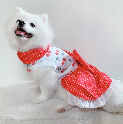 Animal-Go-Round เสื้อผ้าเครื่องแต่งกาย สัตว์เลี้ยง, หมา, แมว, สุนัข รุ่น Cherry Dot
