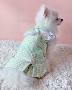 Animal-Go-Round เสื้อผ้าเครื่องแต่งกาย สัตว์เลี้ยง, หมา, แมว, สุนัข รุ่น Acacia Green