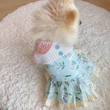 Animal-Go-Round เสื้อผ้าเครื่องแต่งกาย สัตว์เลี้ยง, หมา, แมว, สุนัข รุ่น Tulip Mania Dress