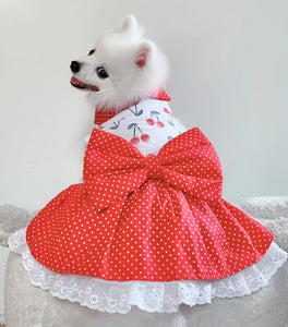 Animal-Go-Round เสื้อผ้าเครื่องแต่งกาย สัตว์เลี้ยง, หมา, แมว, สุนัข รุ่น Cherry Dot