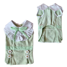 Animal-Go-Round เสื้อผ้าเครื่องแต่งกาย สัตว์เลี้ยง, หมา, แมว, สุนัข รุ่น Acacia Green