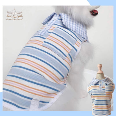 Animal-Go-Round เสื้อผ้าเครื่องแต่งกาย สัตว์เลี้ยง, หมา, แมว, สุนัข รุ่น Hype Boy Shirt