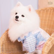 Animal-Go-Round เสื้อผ้าเครื่องแต่งกาย สัตว์เลี้ยง, หมา, แมว, สุนัข รุ่น Summer Breeze Boy