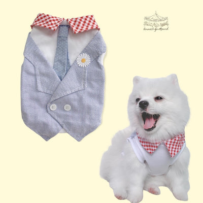 Animal-Go-Round เสื้อผ้าเครื่องแต่งกาย สัตว์เลี้ยง, หมา, แมว, สุนัข รุ่น Tuxedo Daisies